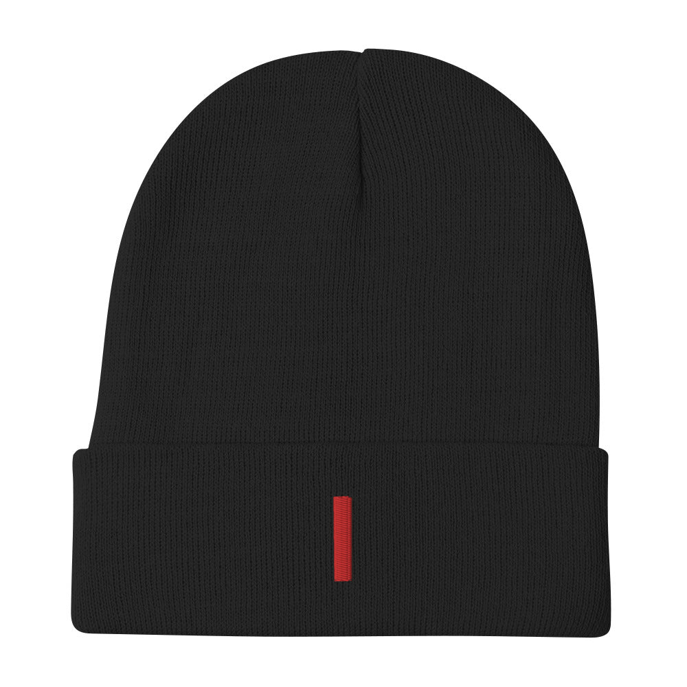 Future Embroidered Beanie
