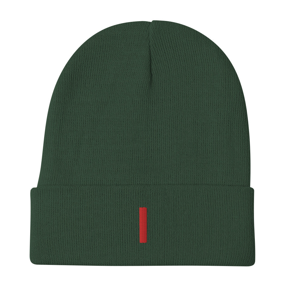 Future Embroidered Beanie