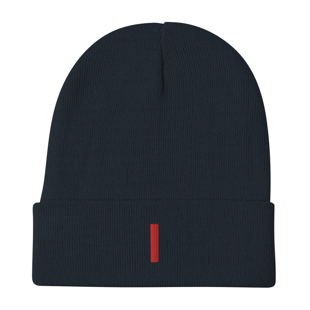 Future Embroidered Beanie