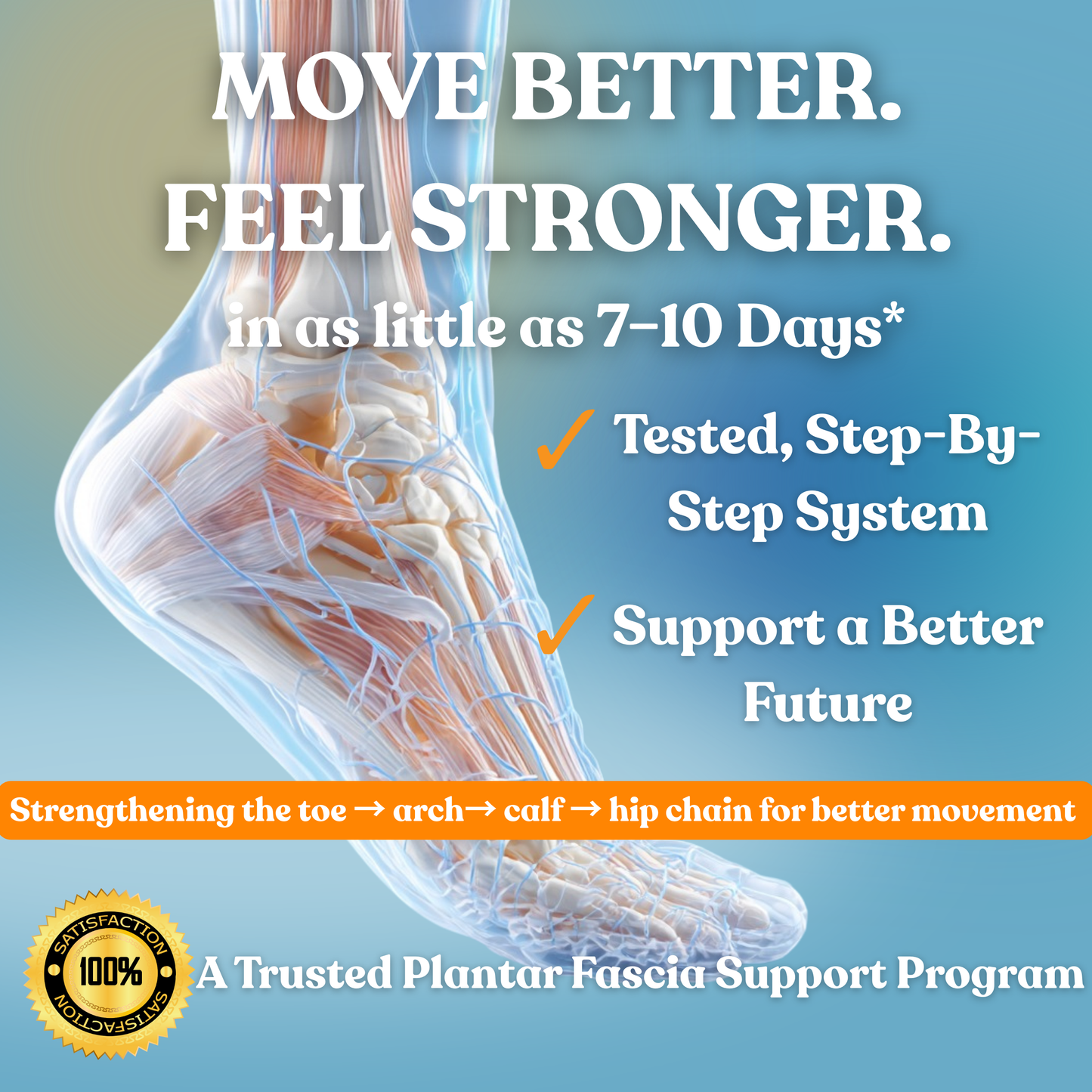 Plantar Fascia Support & Mobility System™
